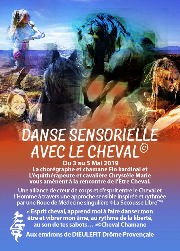 Danse Sensotrielle Avec Le Cheval@