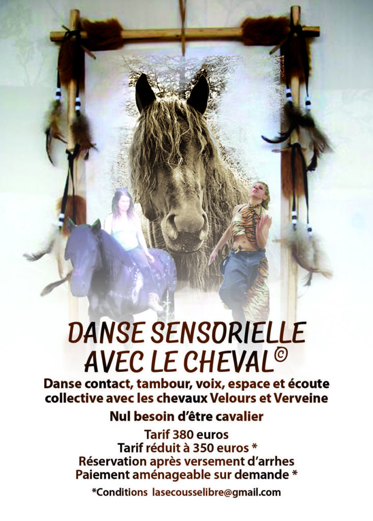 Danse Sensorielle Avec Le cheval @