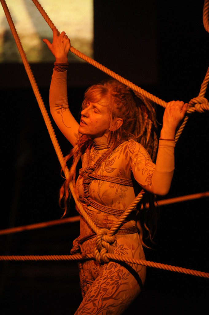 VEGETAL PERFORMANCE